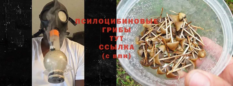 МЕГА рабочий сайт  Дальнегорск  Галлюциногенные грибы MAGIC MUSHROOMS  наркошоп 